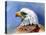 Eagle Portrait-Spencer Williams-Premier Image Canvas