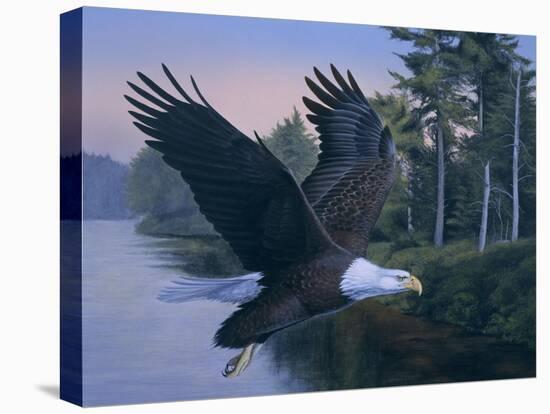 Eagle Soaring-Rusty Frentner-Premier Image Canvas