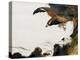 Eagle with Monkey-Zeshin Shibata-Premier Image Canvas