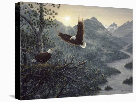 Eagles Nest-Jeff Tift-Premier Image Canvas