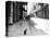 Early 1900s Cat Sitting on Street Older Section of New Orleans,, Louisiana-null-Premier Image Canvas
