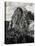 Early Carving on Mount Rushmore-null-Premier Image Canvas