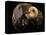 Early Cretaceous Period Fossil-Layne Kennedy-Premier Image Canvas