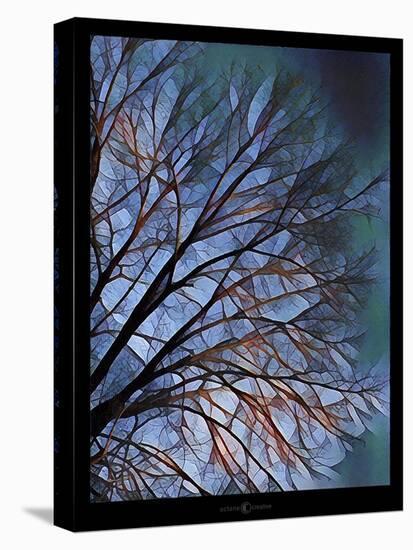 Early Evening Tree-Tim Nyberg-Premier Image Canvas