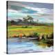 Early Evening-Carol Hallock-Stretched Canvas