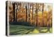 Early Fall Trees-Helen J. Vaughn-Premier Image Canvas