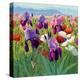 Early June-Shirley Novak-Stretched Canvas