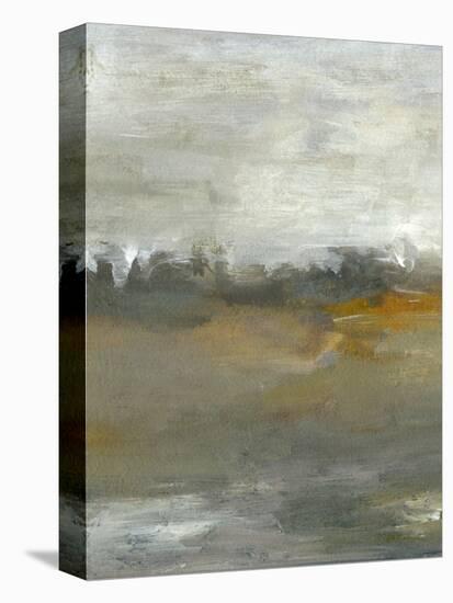 Early Mist I-Sharon Gordon-Stretched Canvas