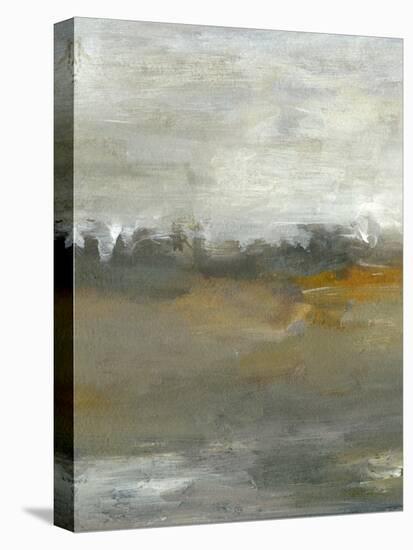 Early Mist I-Sharon Gordon-Stretched Canvas