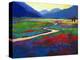 Early Morning Fauve Landscape-Patty Baker-Stretched Canvas