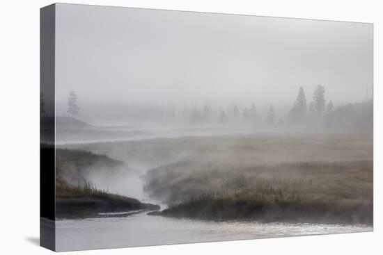 Early Morning Fog Along the Madison River in Yellowstone National Park-Michael Nolan-Premier Image Canvas