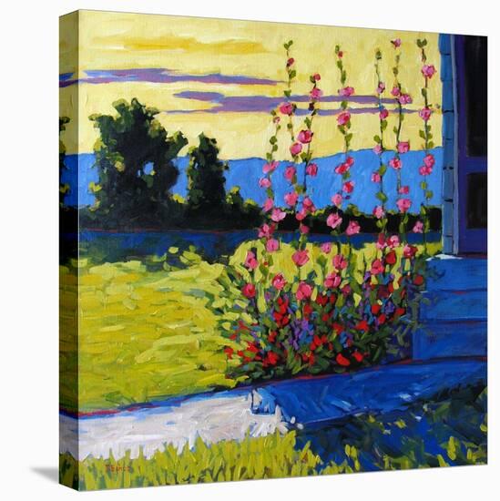 Early Morning Hollyhocks-Patty Baker-Stretched Canvas