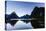 Early Morning Light in Milford Sound-Michael-Premier Image Canvas