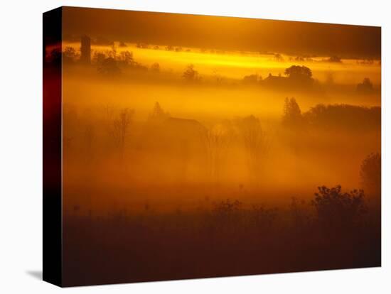 Early Morning Mist-Jim Craigmyle-Premier Image Canvas