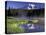 Early Morning on Reflection Lake, Mt. Rainier National Park, Washington, USA-Jamie & Judy Wild-Premier Image Canvas