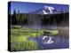 Early Morning on Reflection Lake, Mt. Rainier National Park, Washington, USA-Jamie & Judy Wild-Premier Image Canvas