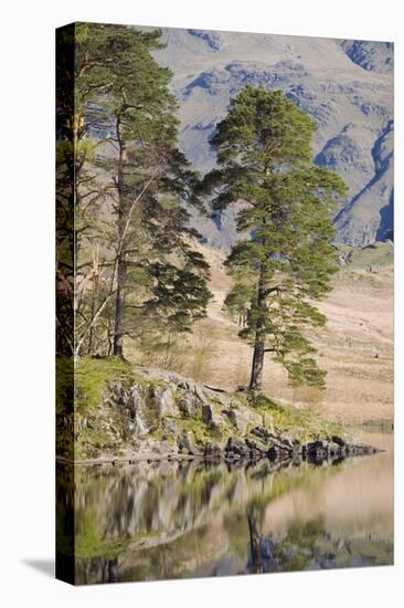 Early Morning Reflections, Blea Tarn, Above Little Langdale-Ruth Tomlinson-Premier Image Canvas