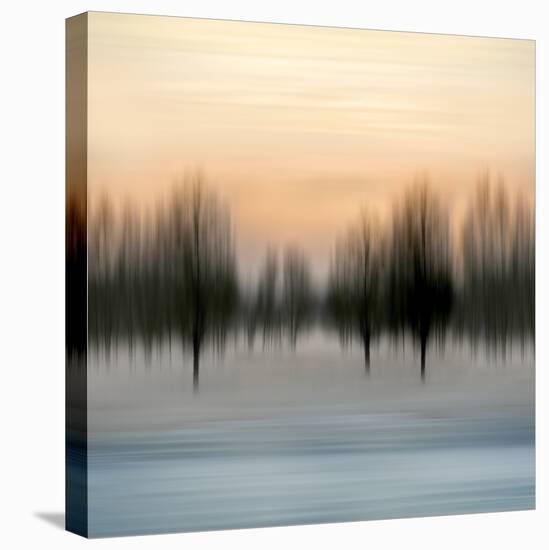 Early Morning V-Madeline Clark-Stretched Canvas