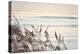 Early Morning-Gail Peck-Premier Image Canvas