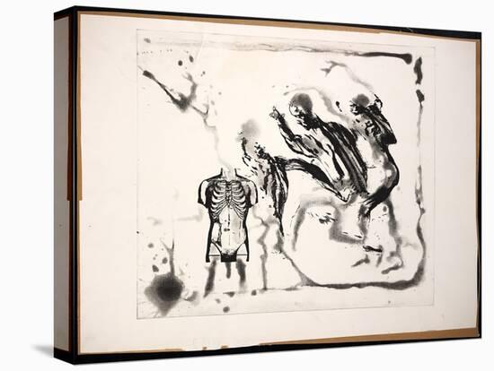 EARLY PRINTS 315275 (print)-Ralph Steadman-Premier Image Canvas