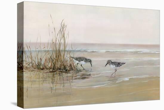 Early Risers I-Sally Swatland-Stretched Canvas