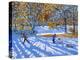 Early Snow, Allestree Park-Andrew Macara-Premier Image Canvas