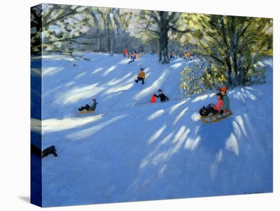 Early Snow, Darley Park, Derby-Andrew Macara-Premier Image Canvas
