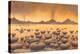 Early Stromatolites, Artwork-Richard Bizley-Premier Image Canvas