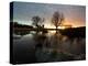 Early Winter Morning Reflection of Trees in a Flooded Icy Grassland in Richmond Park-Alex Saberi-Premier Image Canvas