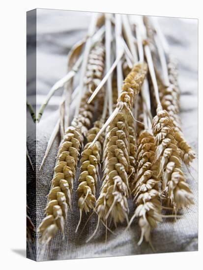 Ears of Rye on a Linen Cloth-Susanne Casper-zielonka-Premier Image Canvas