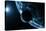 Earth And Moon, Artwork-SCIEPRO-Premier Image Canvas