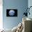 Earth From Space, Artwork-Detlev Van Ravenswaay-Premier Image Canvas displayed on a wall
