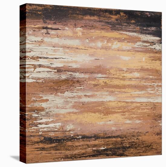 Earth Sunset-Roberto Gonzalez-Stretched Canvas