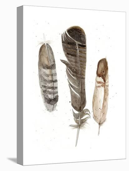 Earthtone Feathers I-Alicia Ludwig-Stretched Canvas