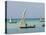 East Africa, Tanzania, Zanzibar, A Traditional Dhow, India, and East Africa-Paul Harris-Premier Image Canvas