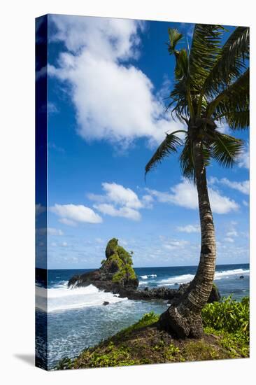 East Coast of Tutuila Island, American Samoa, South Pacific-Michael Runkel-Premier Image Canvas