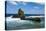 East Coast of Tutuila Island, American Samoa, South Pacific-Michael Runkel-Premier Image Canvas