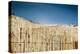 East End Long Island Beach with Fences-null-Stretched Canvas