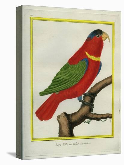 East Indian Lorikeet, Male-Georges-Louis Buffon-Premier Image Canvas