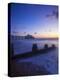 Eastbourne Pier at Sunrise, Eastbourne, East Sussex, England, UK-Neil Farrin-Premier Image Canvas
