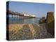 Eastbourne Pier, Beach and Groynes, Eastbourne, East Sussex, England, Uk-Neale Clarke-Premier Image Canvas