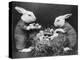 Easter Bunnies and Eggs-null-Premier Image Canvas