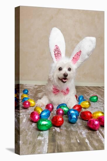 Easter Bunny Dog With Chocolate Easter Eggs-lovleah-Premier Image Canvas