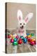 Easter Bunny Dog With Chocolate Easter Eggs-lovleah-Premier Image Canvas