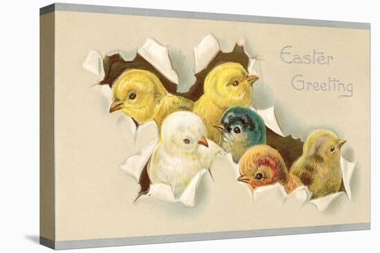 Easter Greeting, Chicks-null-Stretched Canvas