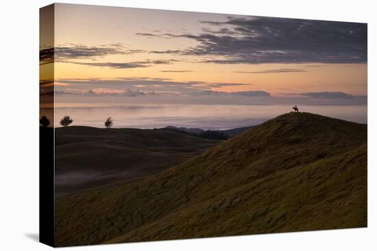 Easter Island, Chile-Karine Aigner-Premier Image Canvas