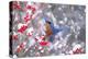 Eastern bluebird feeding on snow-covered Holly berries, USA-Marie Read-Premier Image Canvas