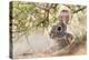 Eastern Cottontail Rabbit resting in shade-Larry Ditto-Premier Image Canvas