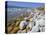 Eastern Shore of the Dead Sea, Jordan-Richard Ashworth-Premier Image Canvas