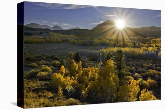 Eastern Sierra I-Mark Geistweite-Premier Image Canvas